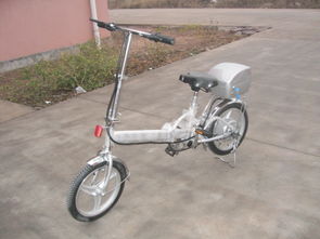 電動車 蘇州電瓶車廠