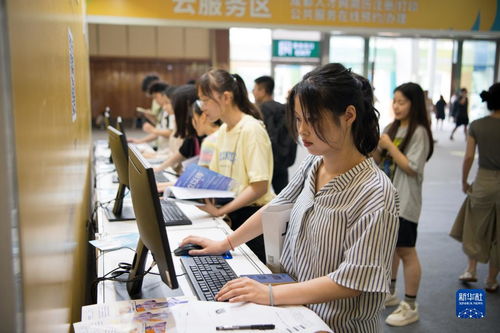 成都“百日萬企”促青年就業(yè) 軟件開發(fā)行業(yè)迎來新機(jī)遇